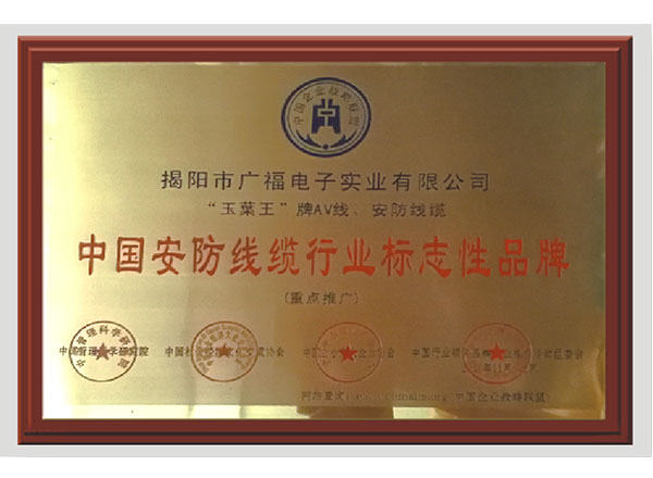 The industry brand in China security cable industry