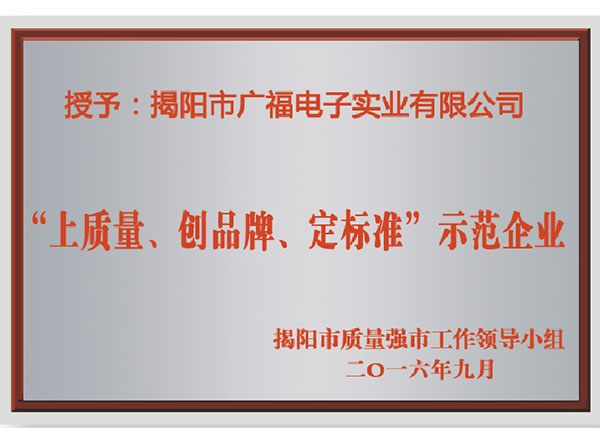 “上质量、创品牌、定标准”示范企业