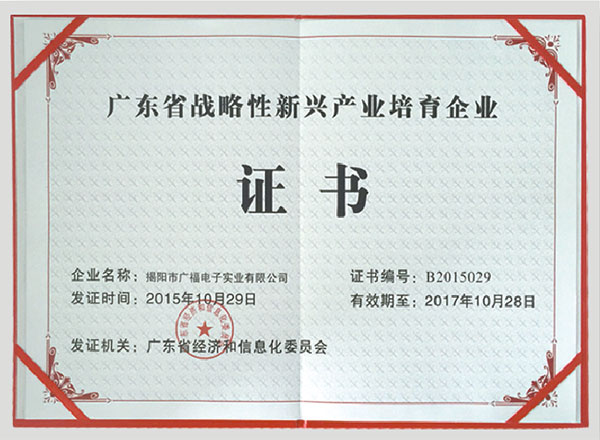 Guangdong  province strategic new industry cultivation enterprise certificate